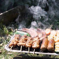 【菜園】 ＢＢＱ / ブロッコリー定植