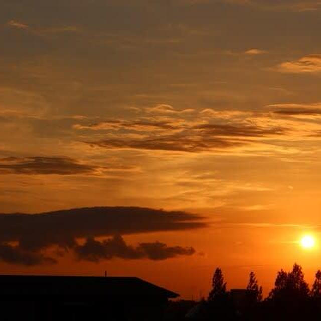 ビュー福島潟の夕日