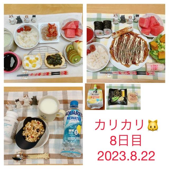 カリカリダイエット→315ダイエット