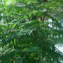 Small gardenのできごと