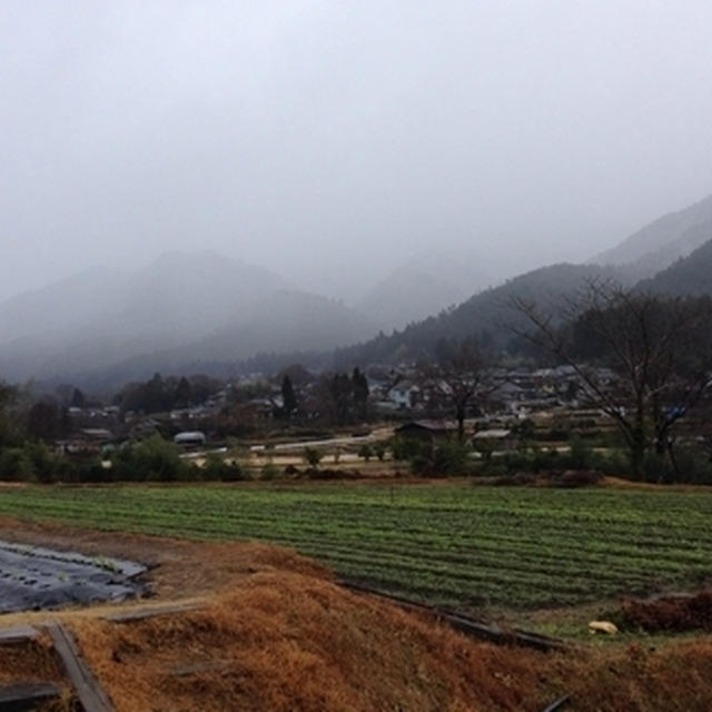 赤津ストヤーノフ樹里亜さんのコンサートと朝の風景