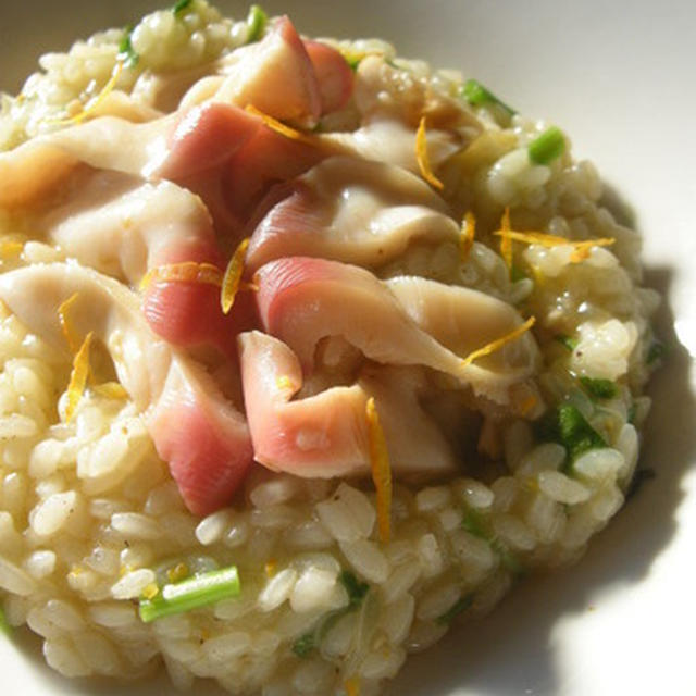 Risotto alla Yamamotese　柚子風味のホッキ・リゾット