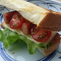 贅沢チーズでホットサンド