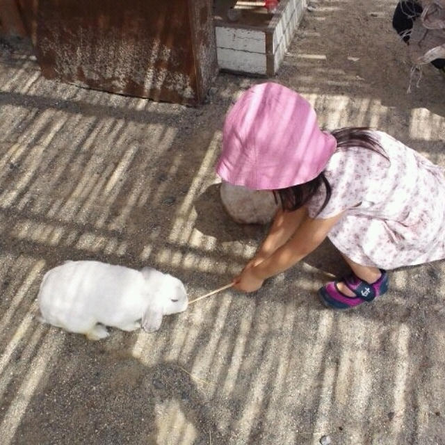 ドイツの森☆