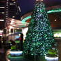 銀座なう