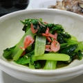 ヤマキ割烹白ダシを使って、『小松菜の割烹白だしあえ』。