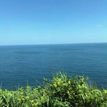 伊豆の海を見にいってみた
