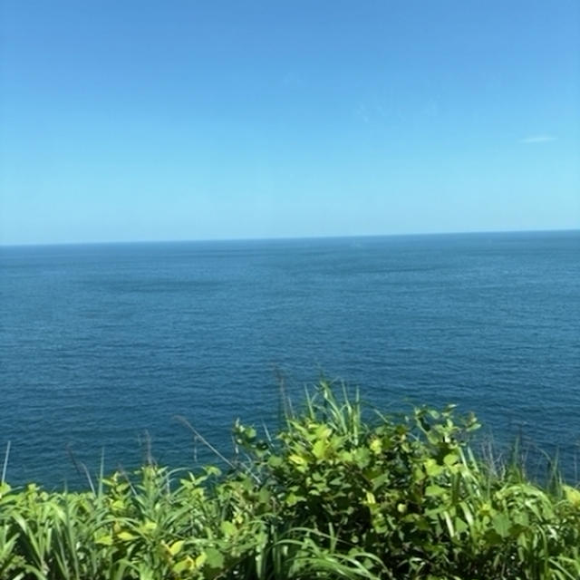 伊豆の海を見にいってみた