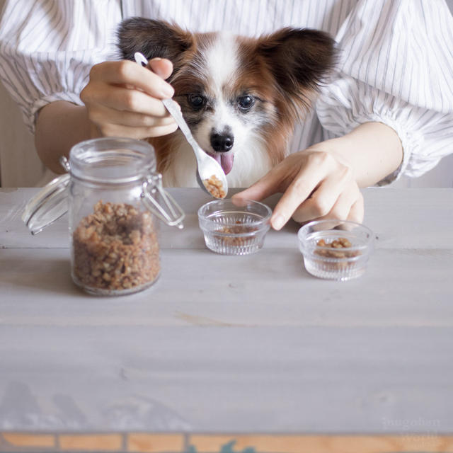 ■簡単で使いやすい、ひき肉だけの犬おやつレシピ