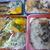 娘が自らさばいた鰯で！お弁当★
