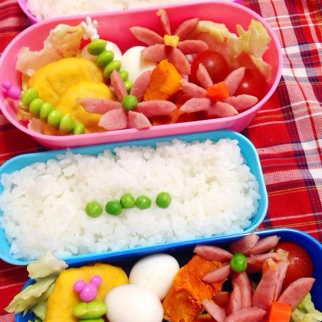 プラスピュアVC２５　「ちょいかけカレー」のお弁当
