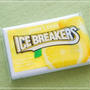 ICE BREAKERS アイスブレーカーズ