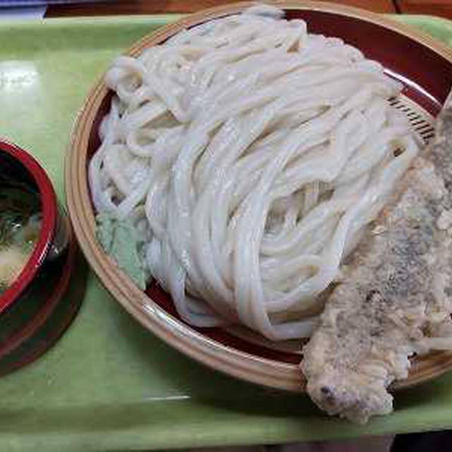 ざるうどんと穴子天