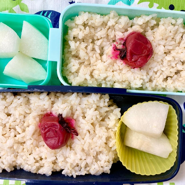 【パラリンピック観戦】子どもたちリクエストが、まさかまさかの日の丸弁当？！