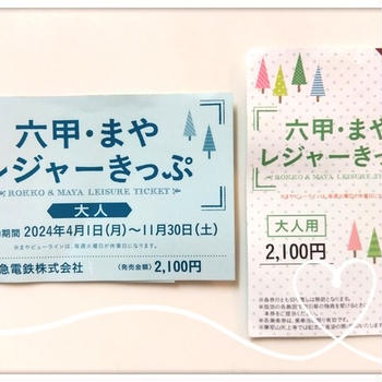 山の秋を満喫♪ 六甲・まやレジャーきっぷで六甲山へ！