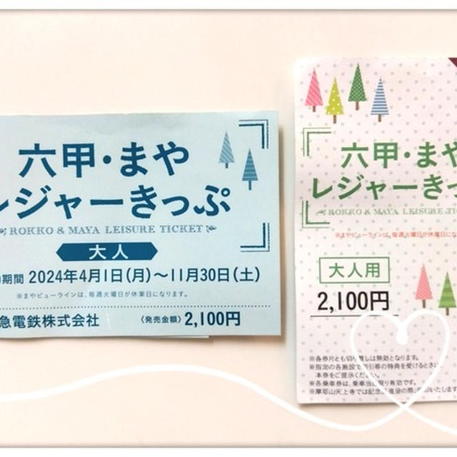 山の秋を満喫♪ 六甲・まやレジャーきっぷで六甲山へ！