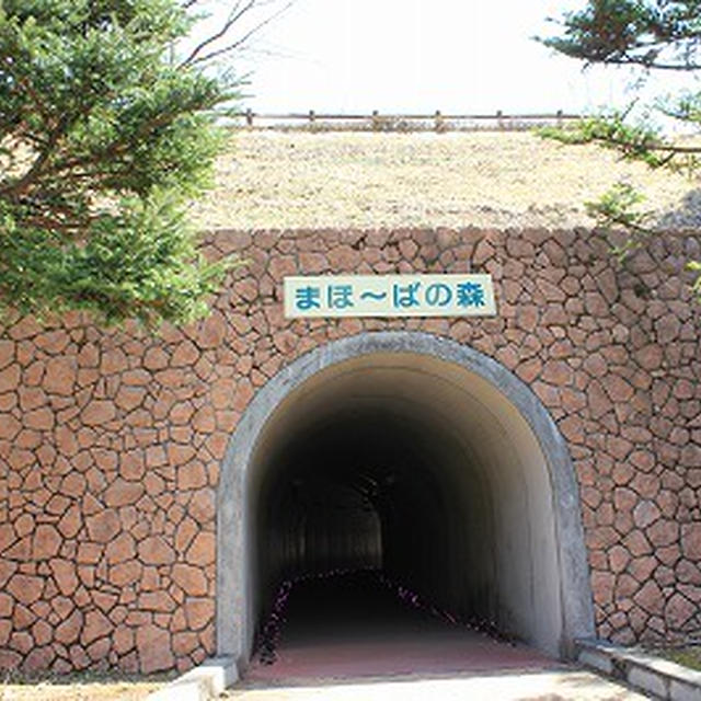 上野村スカイブリッジ