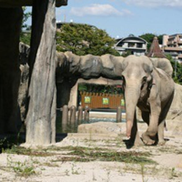 動物園へ