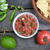 Pico de Gallo ピコデガロ