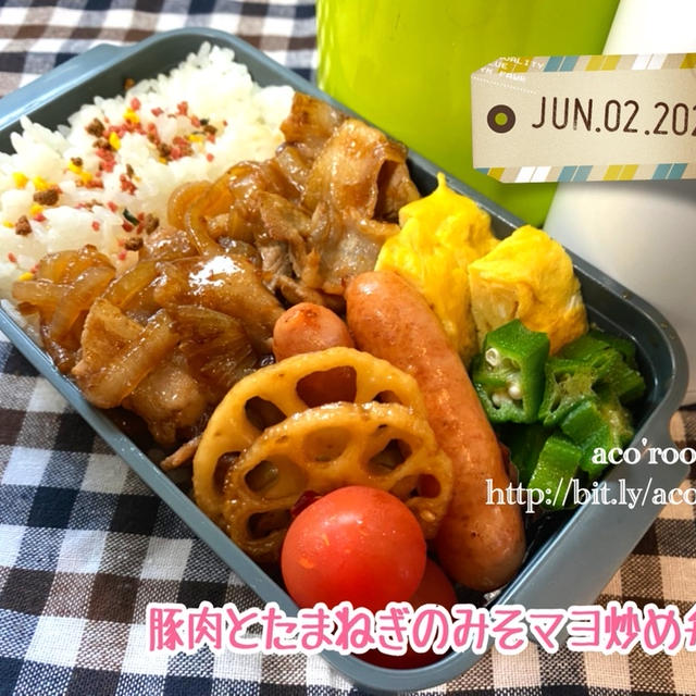 【次男弁当】豚肉とたまねぎのみそマヨ炒め弁当& 豚肉とレタスの炒めもの弁当