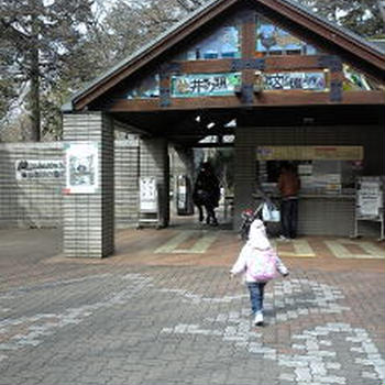 井の頭公園