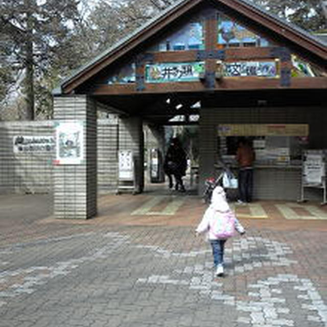井の頭公園
