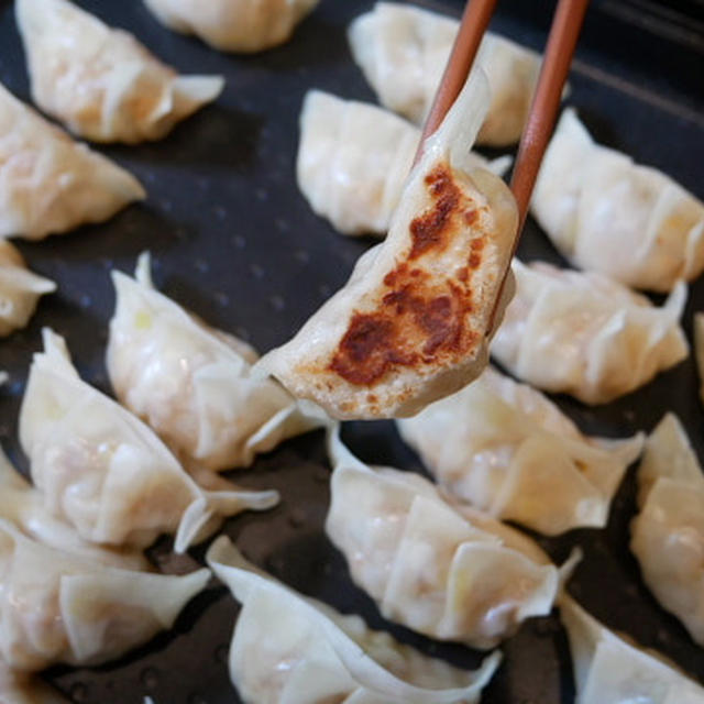 シビれる辛さの焼き餃子、春雨入り