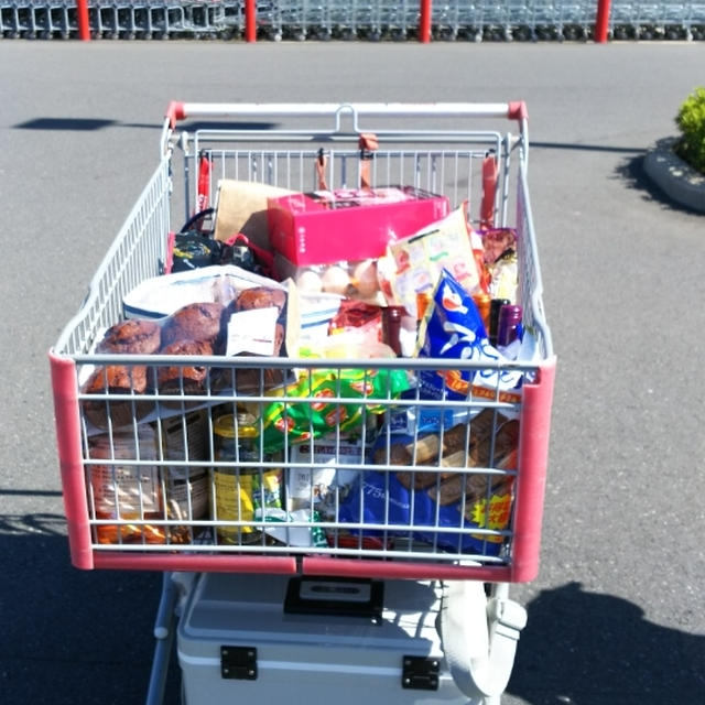昨日のコストコは