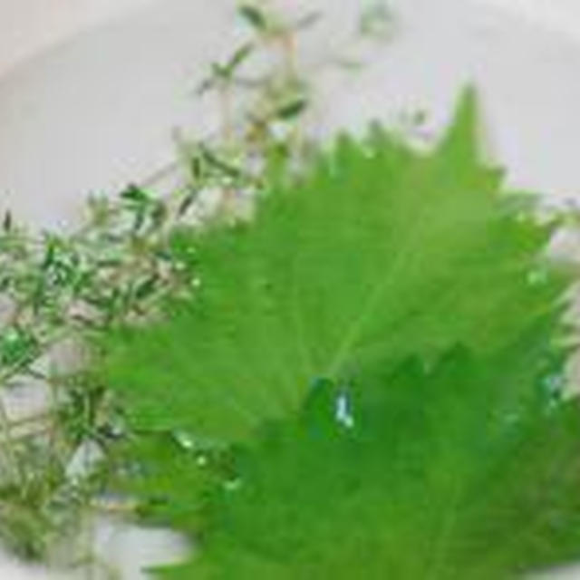 鶏だんごと春雨のスープ
