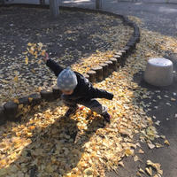 今のところ人生最高の話