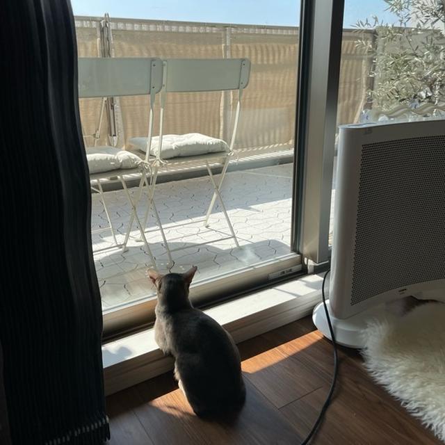 久しぶりのひとりごはんと、穏やかな1日