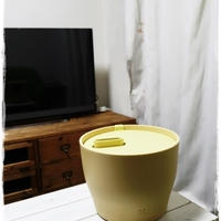 ■うるつやお肌に♪可愛いスチーム式加湿器■±0暮らしのレポーター