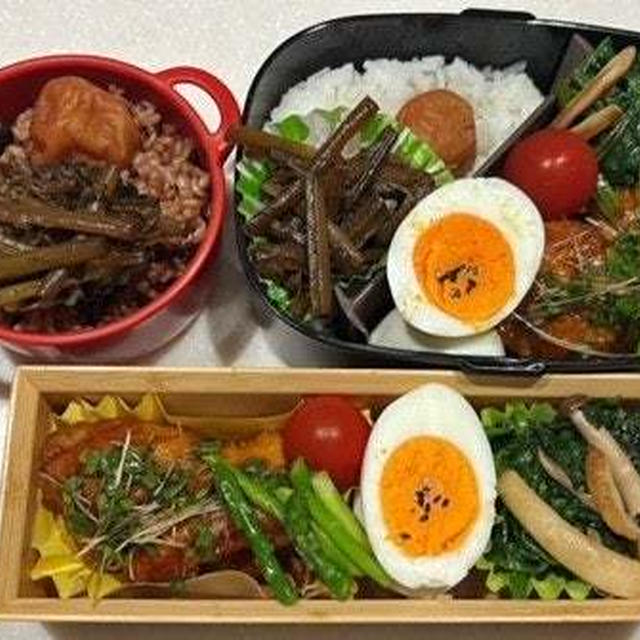 きゃらぶきに注意！、油淋鶏弁当・大雨風心配