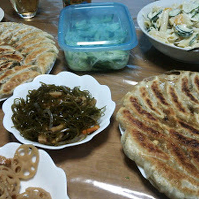 今夜は餃子パーティーです