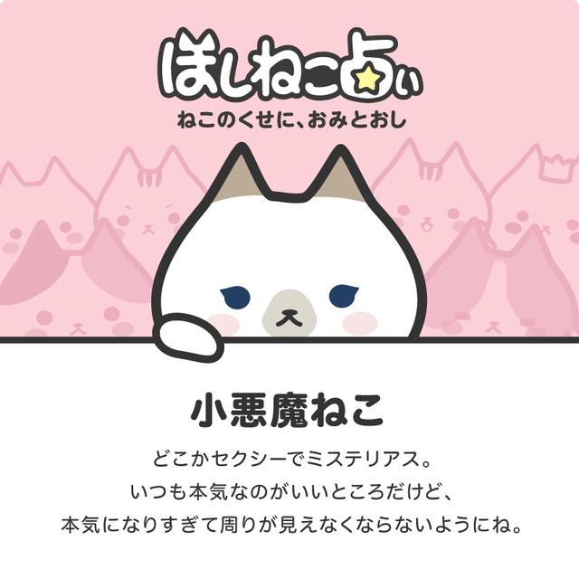 わたしのほしねこ占いの結果は...
