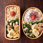 9/8(木)鶏とピーマンの塩ダレ炒め弁当
