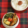 簡単！お弁当レシピ～ごはんがススム！ねぎの豚肉巻き弁当～