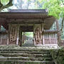 日本ミツバチ　百濟寺