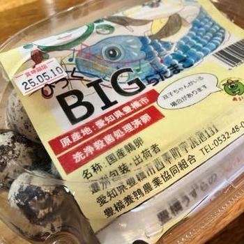 　－うずら卵－