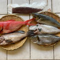 日本からの魚のお取り寄せ＿2025年5月＿鰹の塩締め