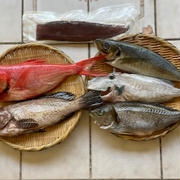 日本からの魚のお取り寄せ＿2025年5月＿鰹の塩締め