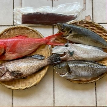 日本からの魚のお取り寄せ＿2025年5月＿鰹の塩締め