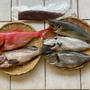 日本からの魚のお取り寄せ＿2025年5月＿鰹の塩締め