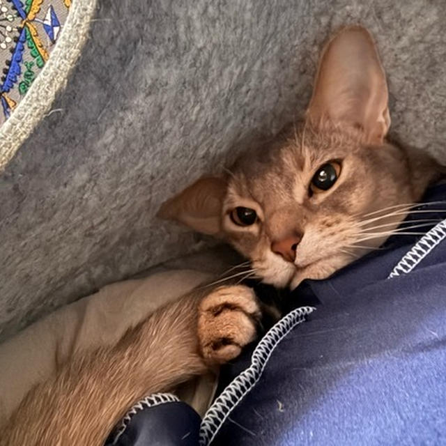 今度は、ここでいじけてた。