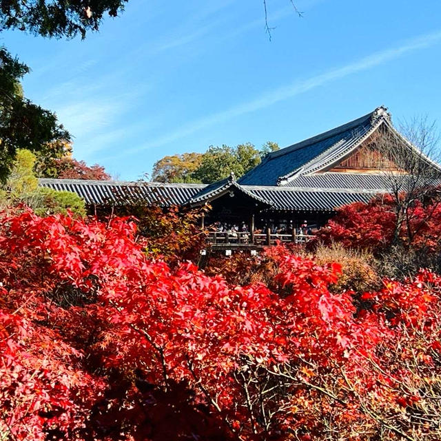 そうだ 京都、行こう。