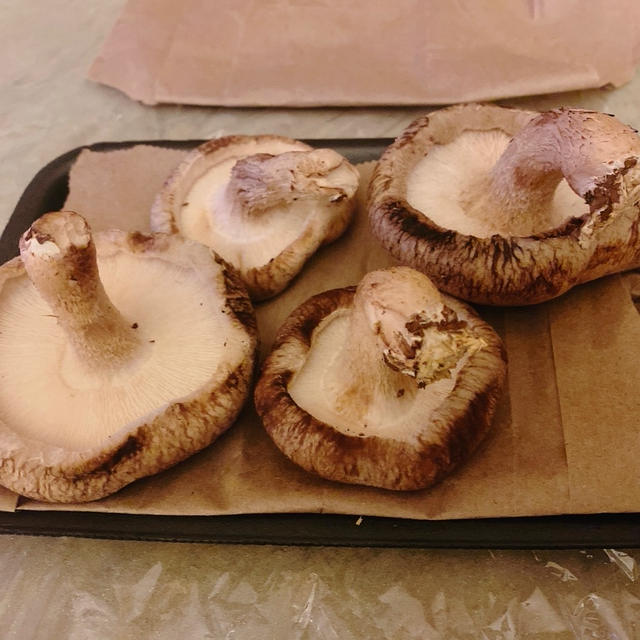 生椎茸
