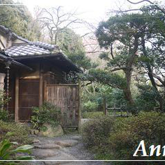 ☆関口芭蕉庵で日本の心に触れる☆