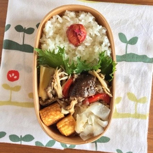 きのうと似てる弁当と、楽天セールでポチるもの