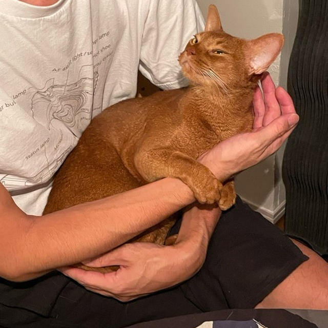 パパの抱っこにウットリひめちゃん