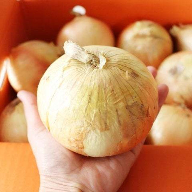 半額以下♪淡路島産・訳あり新玉ねぎ　形は不揃いだけど味は日本一